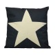 Almofada Whitw Star