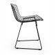 Silla Bertoia New Edition
